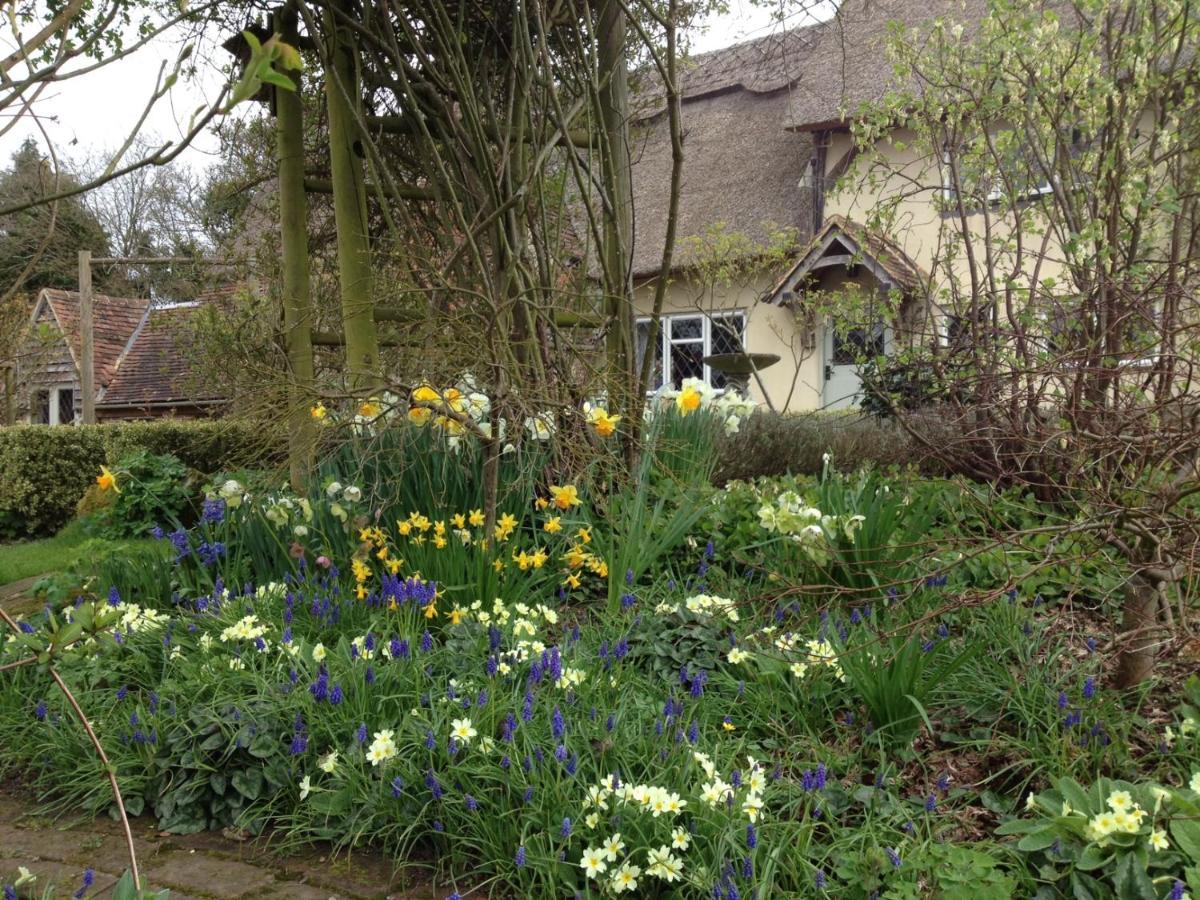 Thatched Cottage B&B Hever Exterior photo