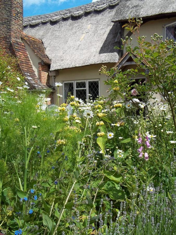 Thatched Cottage B&B Hever Exterior photo